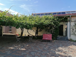 Kiwipergola