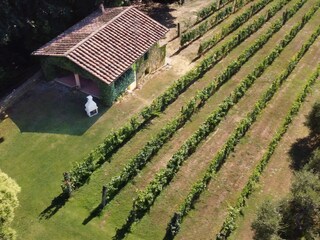 Das Casa Rosa von oben