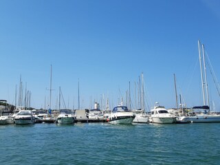 Ausflugtstipp: Hafenrundfahrt in Livorno