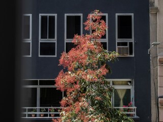 Ferienhaus Las Palmas Außenaufnahme 3