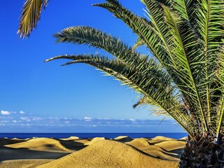 Casa per le vacanze San Agustin (Gran Canaria) Registrazione all'aperto 10