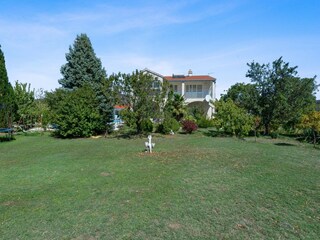 Holiday house Dicmo Outdoor Recording 6