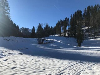 Apartamento Hittisau Entorno 30