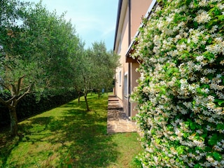 Casa per le vacanze Brtonigla Registrazione all'aperto 10