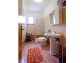 Casa per le vacanze Brtonigla Caratteristiche 17