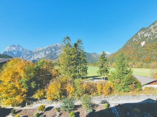 IMG-20251013-WA0004~2