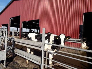 Ferienwohnung Nieblum Außenaufnahme 6