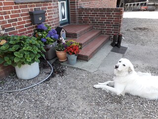 Ferienwohnung Nieblum Außenaufnahme 7
