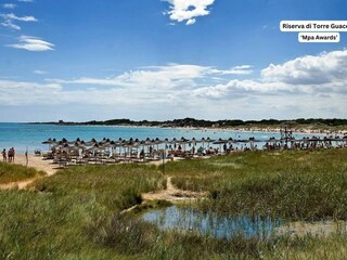 Oase "Torre Guaceto"