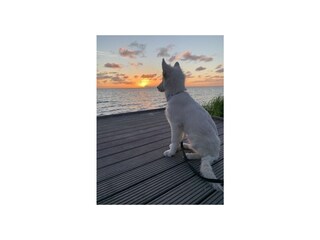 Holiday house Enkhuizen Outdoor Recording 14