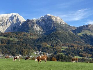 Spaziergang durch Schönau am Königssee