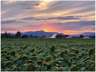 Holiday house Mussig Environment 32