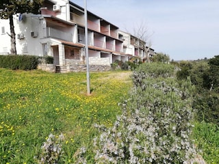 Apartment Pavićini Outdoor Recording 2