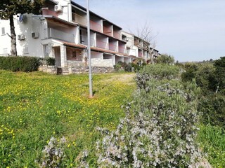 Appartement Pavićini Enregistrement extérieur 2