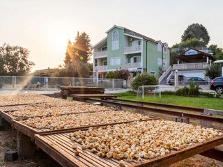 Villa Rogotin Grabación al aire libre 3