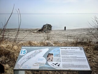 Strandabschnitt mit Hundestrand
