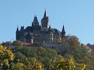 Ferienwohnung Wernigerode Umgebung 14