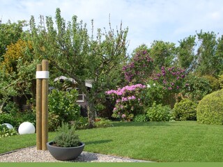 eingewachsener Garten