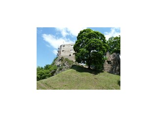 Burgruine Bad Liebenstein(9km)