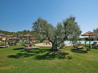 Ferienpark Campiglia Marittima Außenaufnahme 17