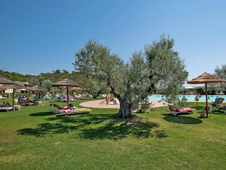 Ferienpark Campiglia Marittima Außenaufnahme 10