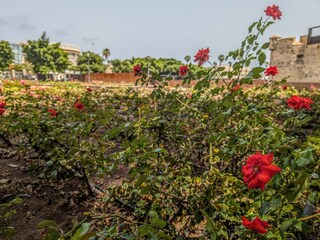 Ferienhaus Las Palmas Außenaufnahme 11