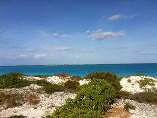 Villa Moss Town Registrazione all'aperto 5