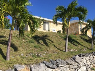 Villa Moss Town Registrazione all'aperto 2