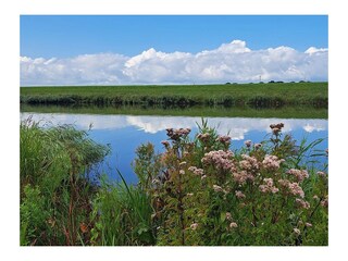 Ferienhaus Slootdorp Umgebung 23