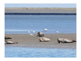 Ferienhaus Slootdorp Umgebung 25