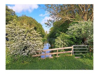 Ferienhaus Slootdorp Außenaufnahme 10