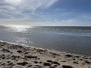 Meer
