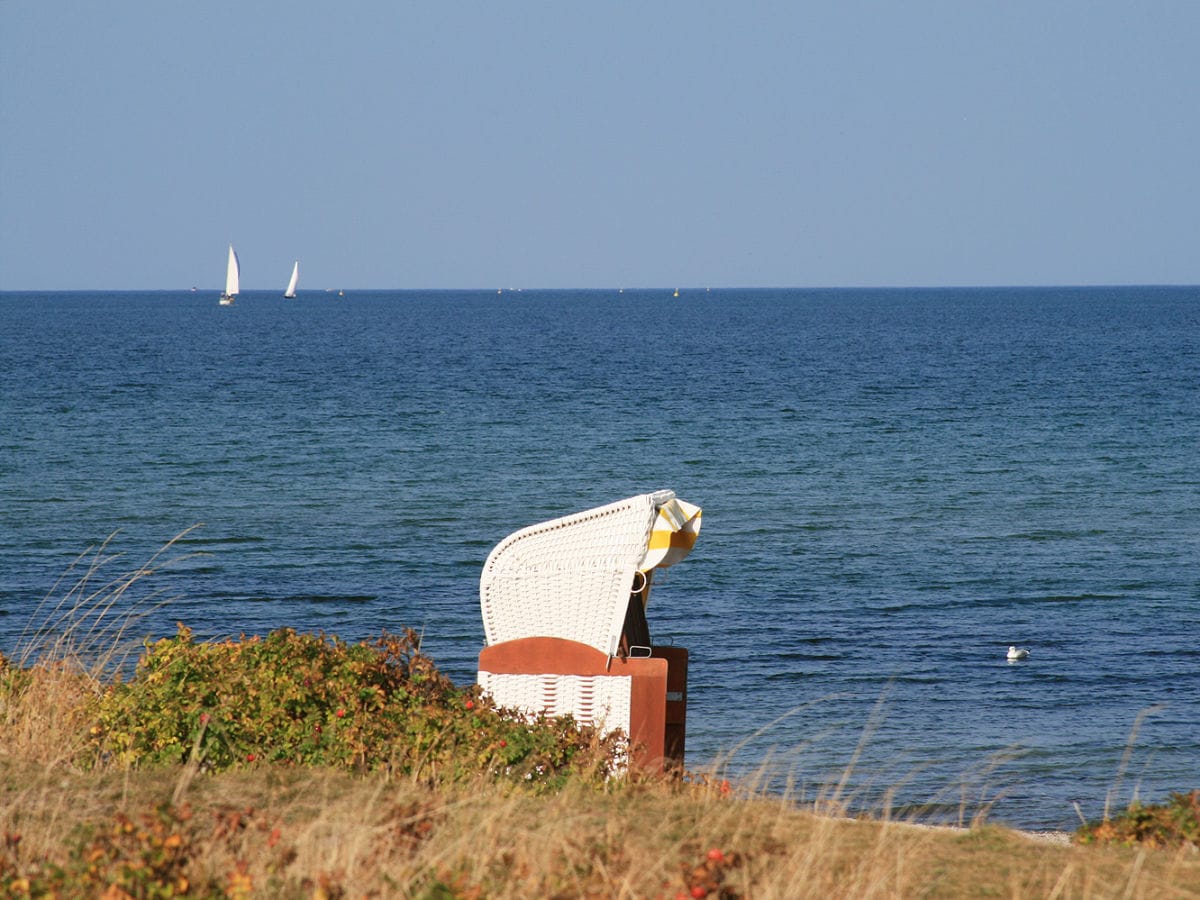 Strandkorb direkt am Meer