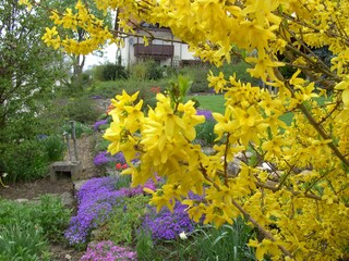 Ferienwohnung Dörzbach Außenaufnahme 4