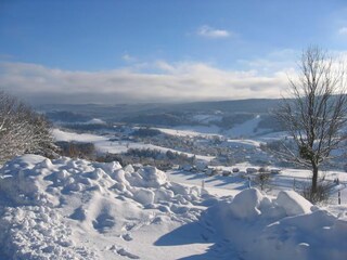 Ferienhaus Fort-du-Plasne Umgebung 21
