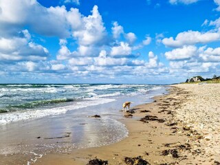 Casa de vacaciones Udsholt Strand  29