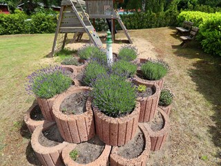 Bungaló Koserow Grabación al aire libre 16