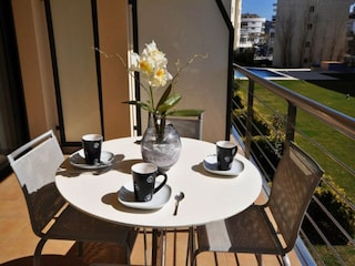 Apartment Roses  26