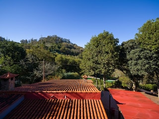 Cottage Teror Außenaufnahme 15