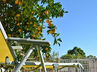 Apartment Orebic  30