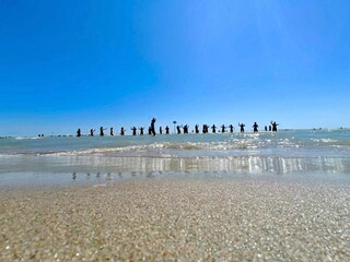 Appartamento Alba Adriatica Ambiente 35