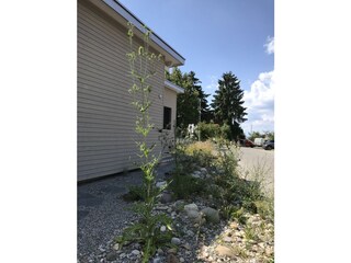 Exterior view from north