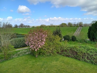 Blick Richtung Deich