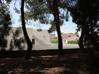 The small park  next door