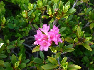 Appartamento per vacanze Schwendau Ambiente 18