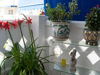 Appartement San Pedro de Alcantara  37