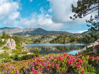 Parque de vacaciones Rouvenac Entorno 19