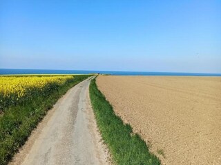Vakantiehuis Longues-sur-Mer Omgeving 32