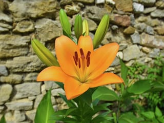 Holiday house Félines-Minervois  37