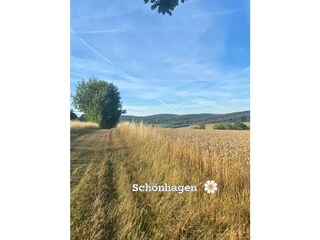Schönhagen